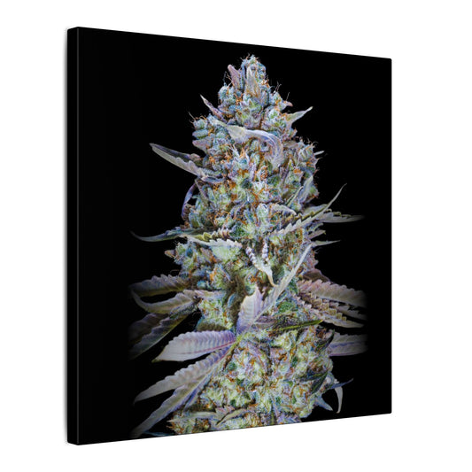 Psychedelic Cannabis Bud Canvas Print — Matte Stretched Wall Art. custom made wall art for stoners