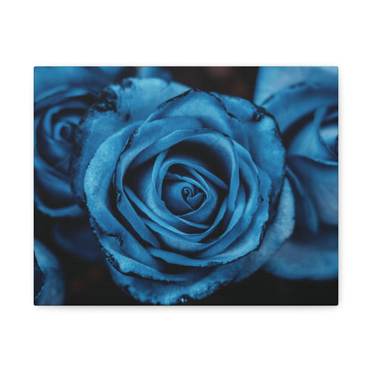 Blue Rose Canvas Print — Matte Stretched Wall Art