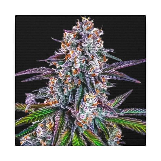 Cannabis Floral Canvas Print — Colorful Marijuana Bud Wall Art