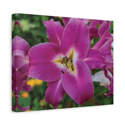 Pink Lily Floral Canvas Wall Art — Matte Stretched 1.25"