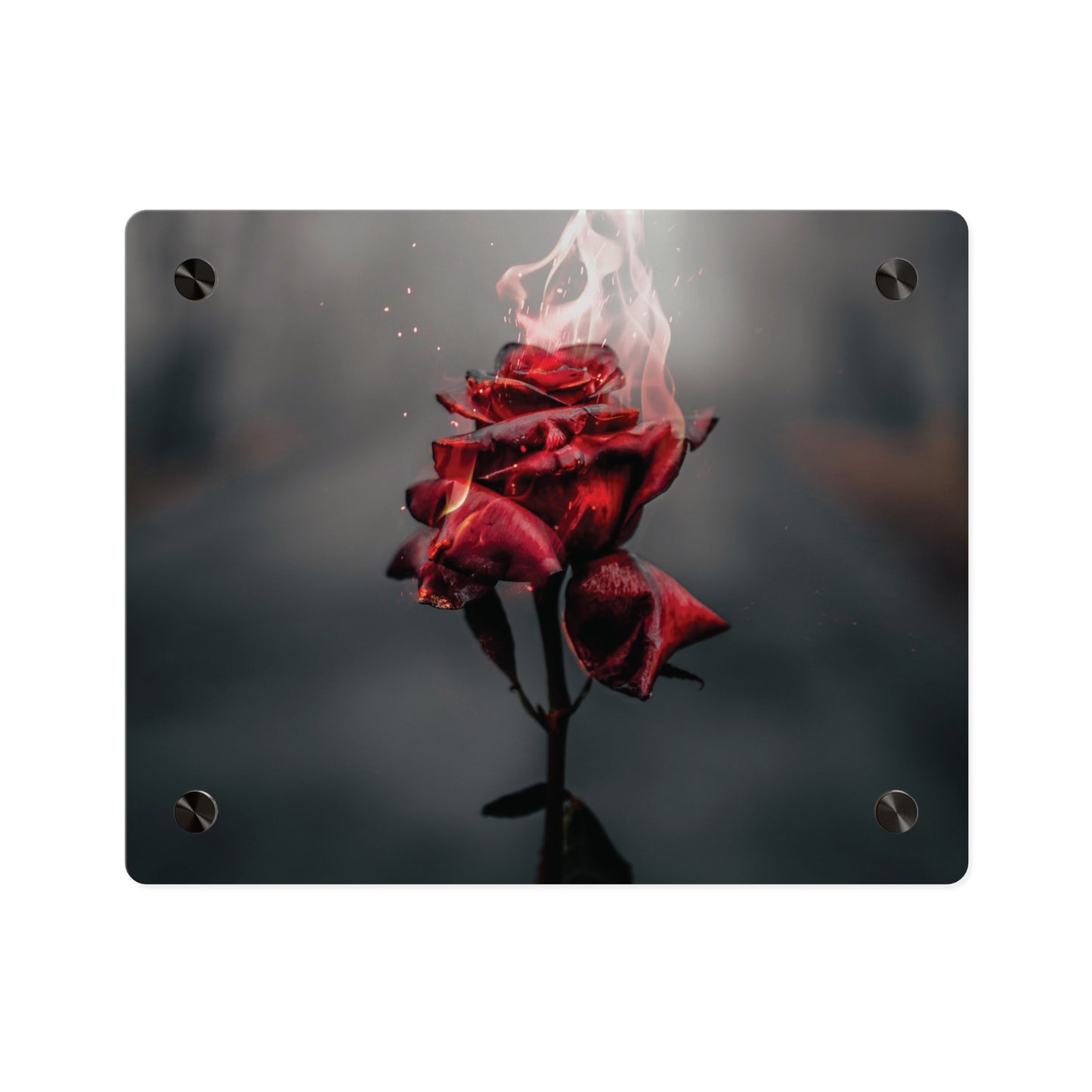 Acrylic Wall Art — Flaming Red Rose Floating Panel perfect Valentines day gift