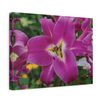 Pink Lily Floral Canvas Wall Art — Matte Stretched 1.25"