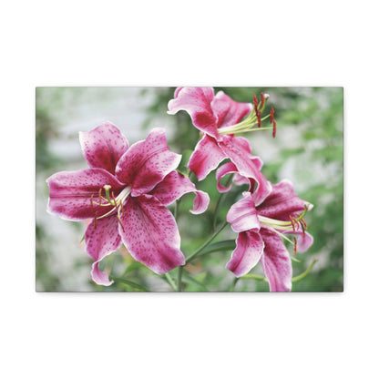 Pink Stargazer Lily Canvas Print — Floral Wall Art, Botanical Home Decor
