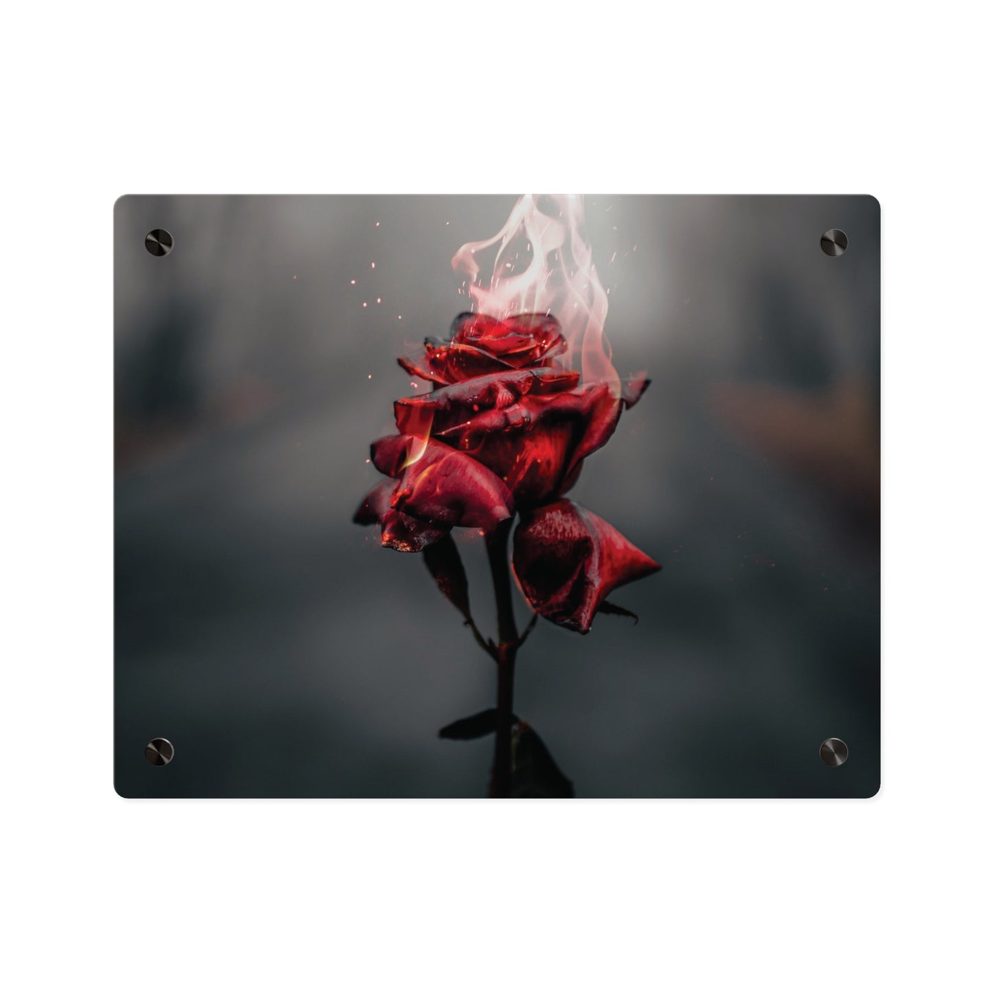 Acrylic Wall Art — Flaming Red Rose Floating Panel perfect Valentines day gift