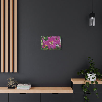 Pink Lily Floral Canvas Wall Art — Matte Stretched 1.25"