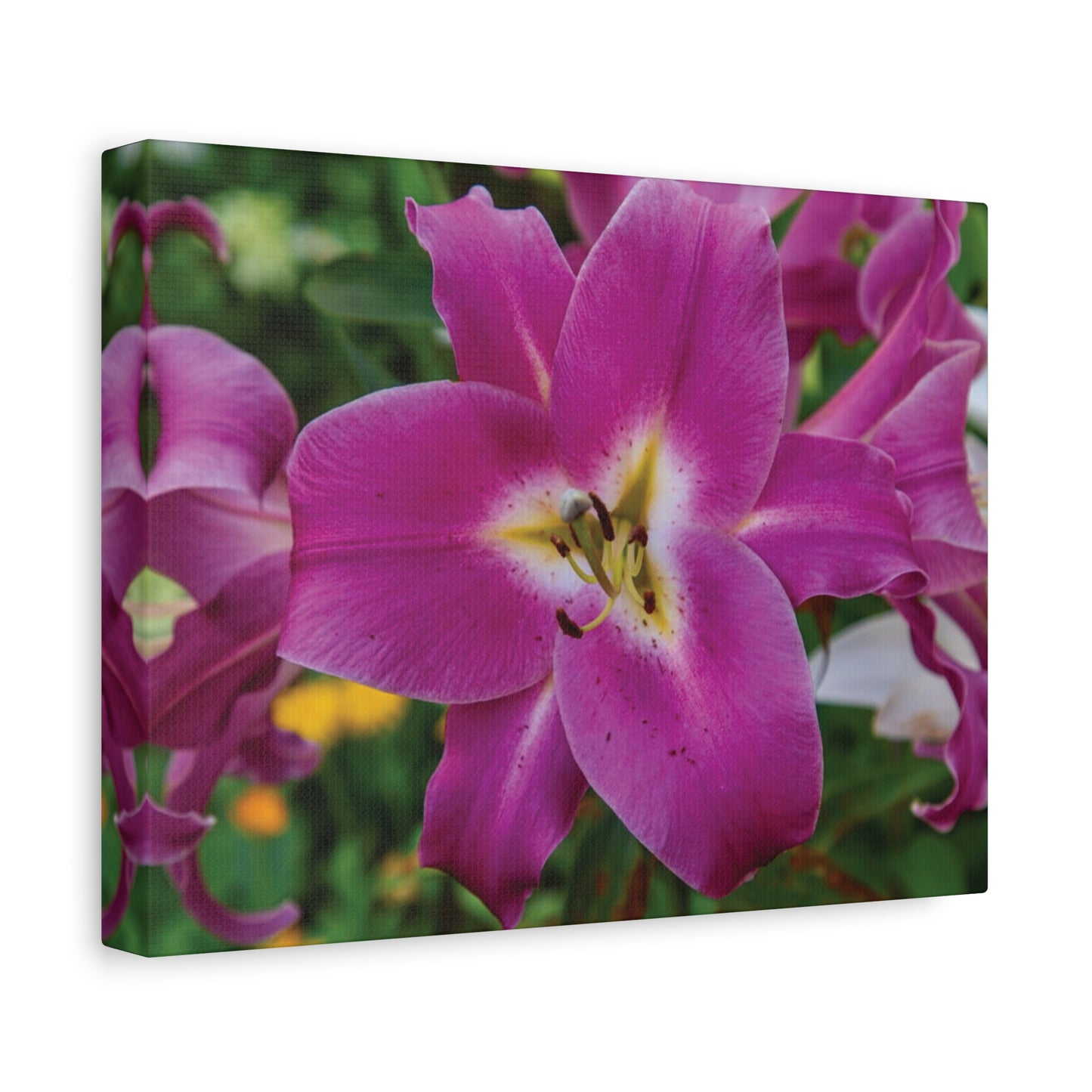 Pink Lily Floral Canvas Wall Art — Matte Stretched 1.25"