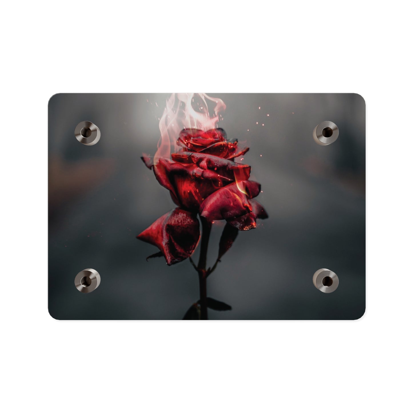 Acrylic Wall Art — Flaming Red Rose Floating Panel perfect Valentines day gift
