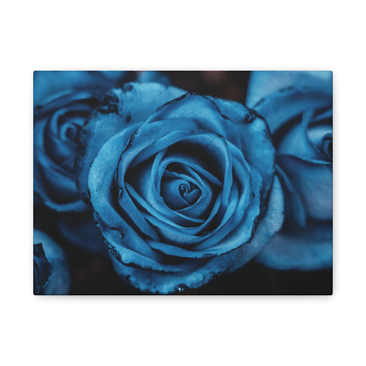 Blue Rose Canvas Print — Matte Stretched Wall Art
