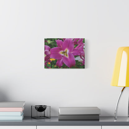 Pink Lily Floral Canvas Wall Art — Matte Stretched 1.25"