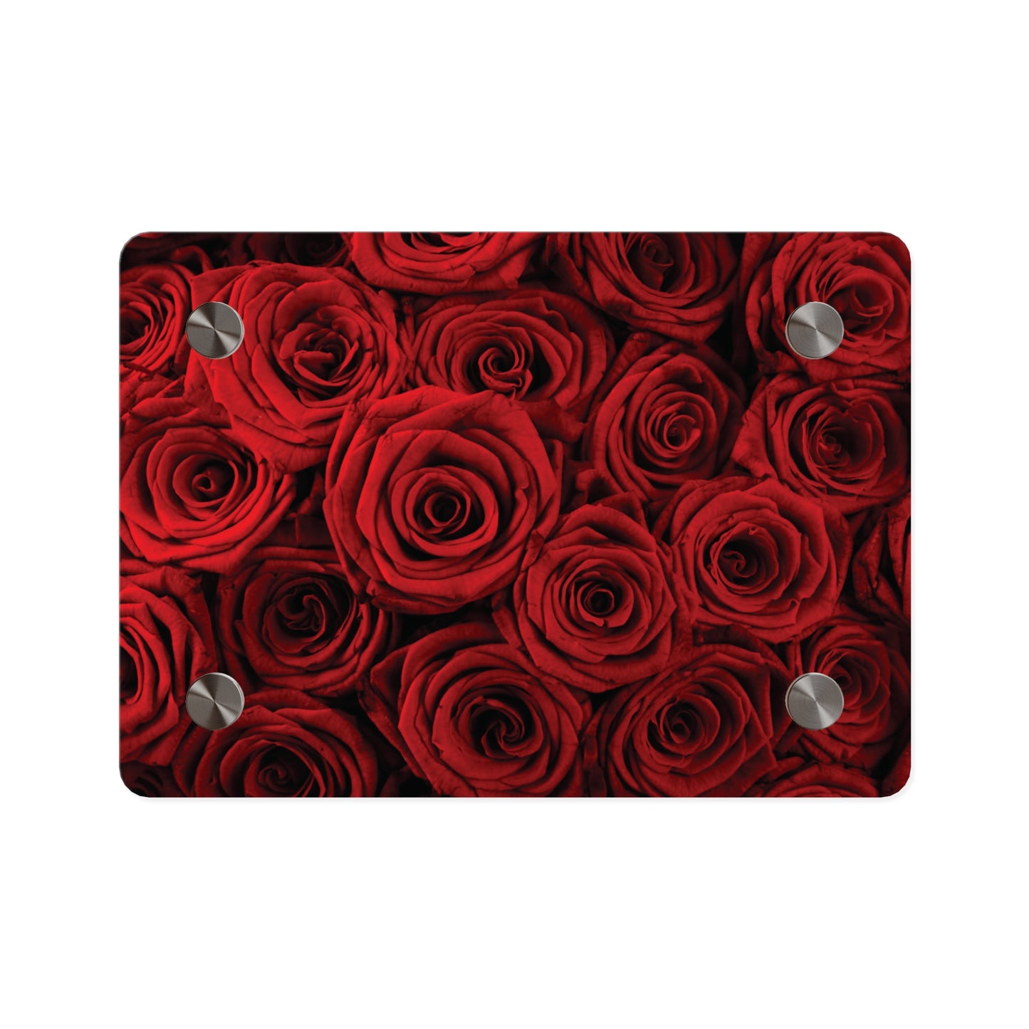 Acrylic Wall Art - Red Rose Close-Up Panel, Romantic Floral Decor for Valentine’s Day & Home Accent