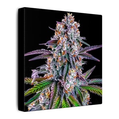 Cannabis Floral Canvas Print — Colorful Marijuana Bud Wall Art
