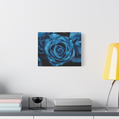 Blue Rose Canvas Print — Matte Stretched Wall Art