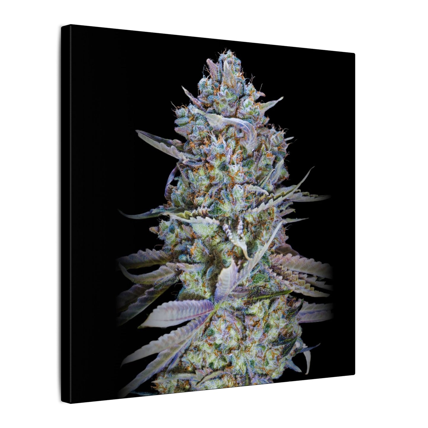 Psychedelic Cannabis Bud Canvas Print — Matte Stretched Wall Art. custom made wall art for stoners