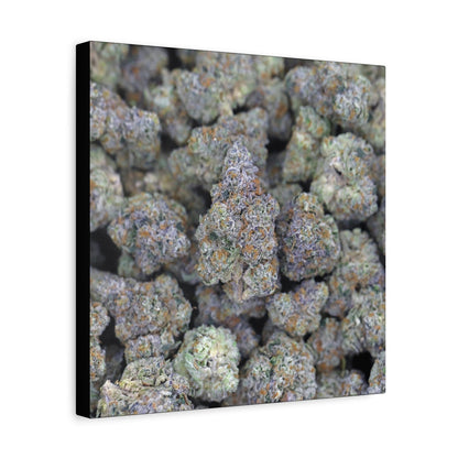 Cannabis Bud Close-Up Matte Canvas Print —"PINK RUNTZ"  Stretched 1.25" Wall Art