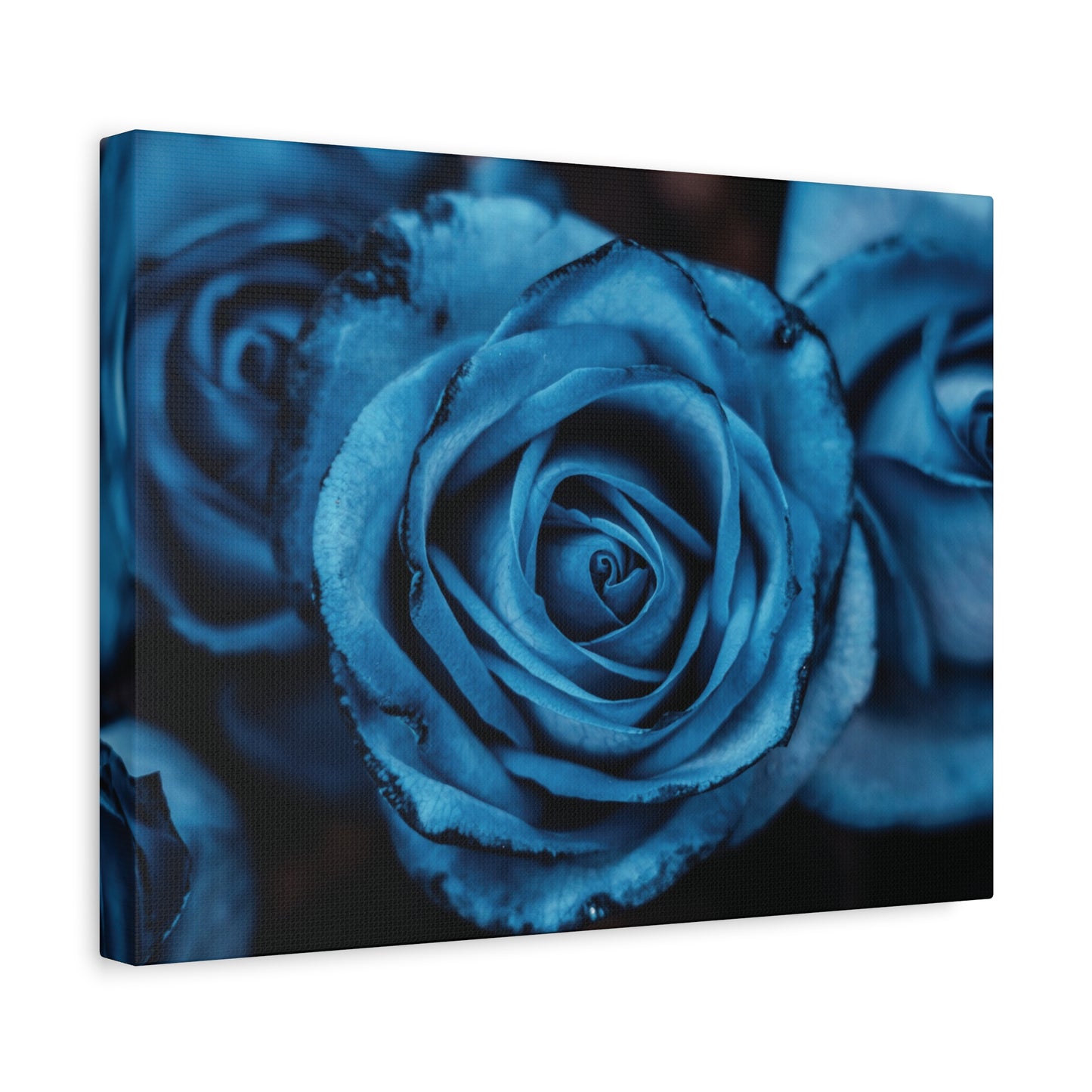 Blue Rose Canvas Print — Matte Stretched Wall Art