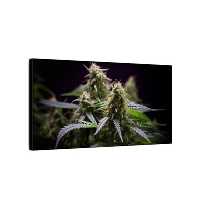 Cannabis Plant Wall Art Canvas — Matte Stretched Botanical Print perfect for stoners/smokers