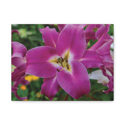 Pink Lily Floral Canvas Wall Art — Matte Stretched 1.25"