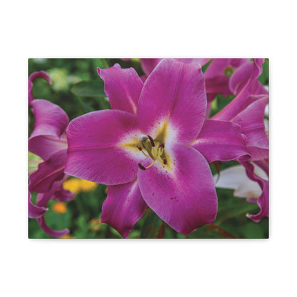Pink Lily Floral Canvas Wall Art — Matte Stretched 1.25"
