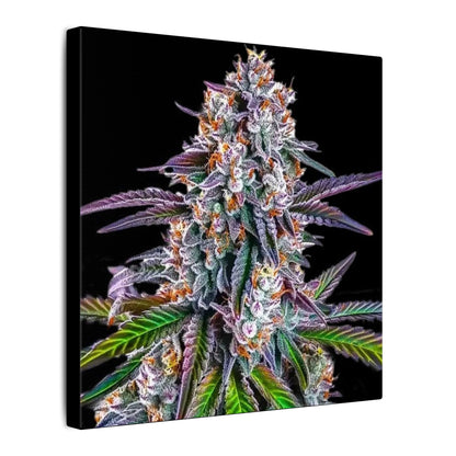 Cannabis Floral Canvas Print — Colorful Marijuana Bud Wall Art