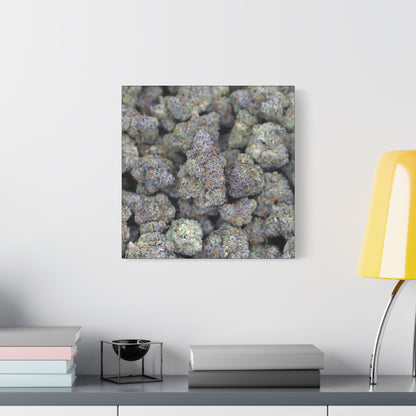 Cannabis Bud Close-Up Matte Canvas Print —"PINK RUNTZ"  Stretched 1.25" Wall Art