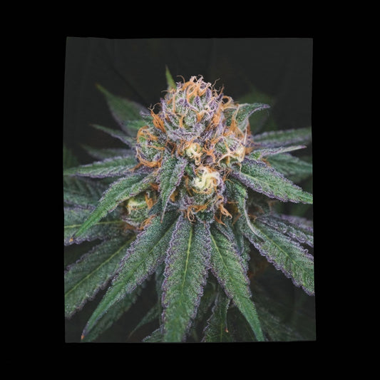 Cannabis inspired Plush Blanket – Soft Velveteen Throw for Stoners "GRANDADDY PURP" perfect holiday gift for stoners. warm blanket with cannabis design