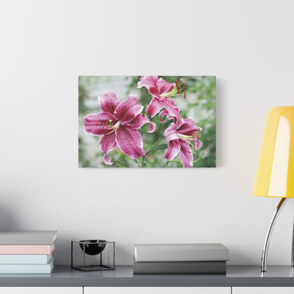 Pink Stargazer Lily Canvas Print — Floral Wall Art, Botanical Home Decor