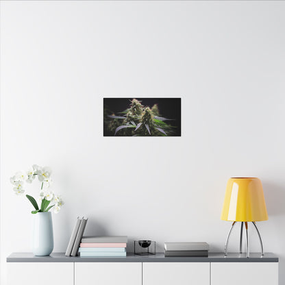 Cannabis Plant Wall Art Canvas — Matte Stretched Botanical Print perfect for stoners/smokers