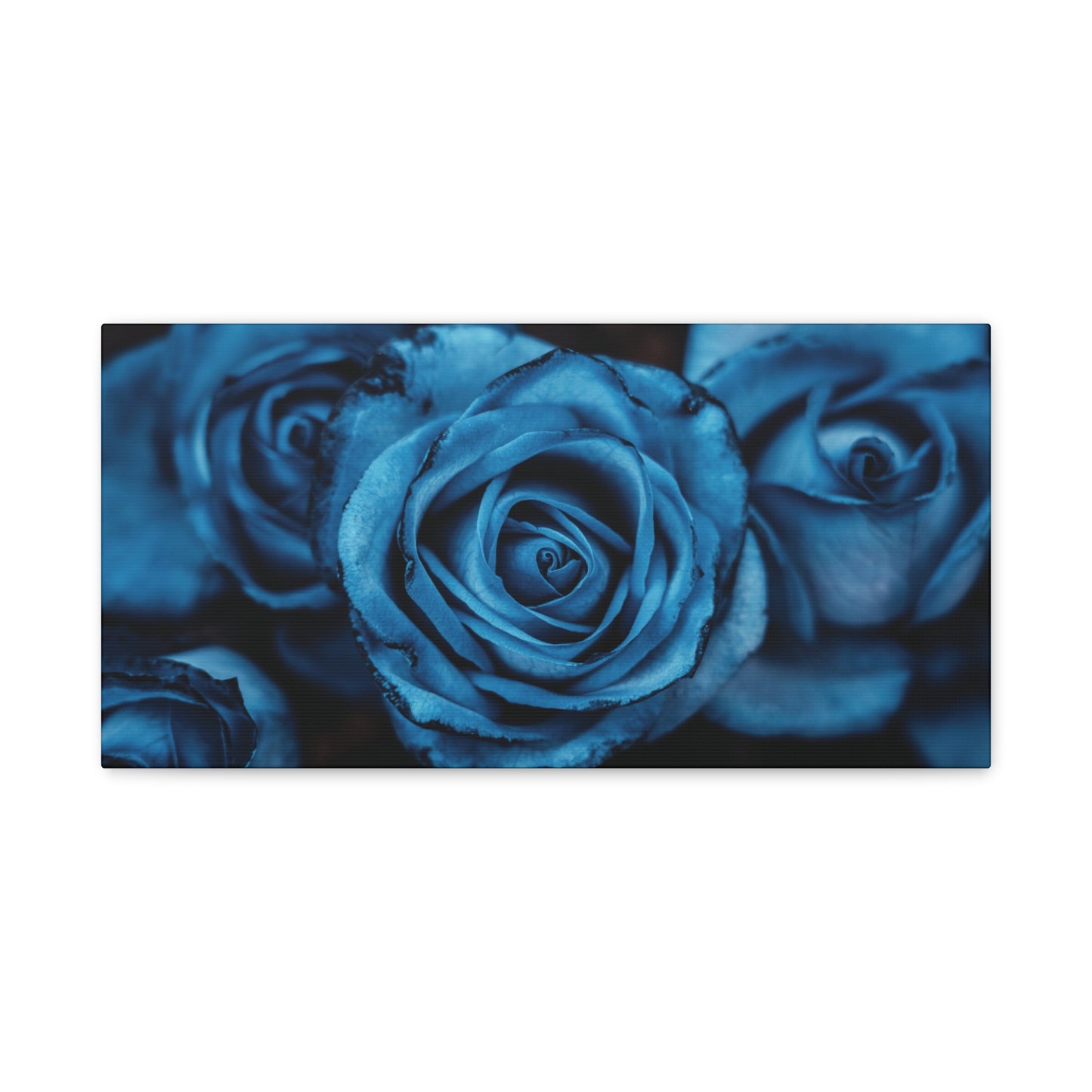 Blue Rose Canvas Print — Matte Stretched Wall Art