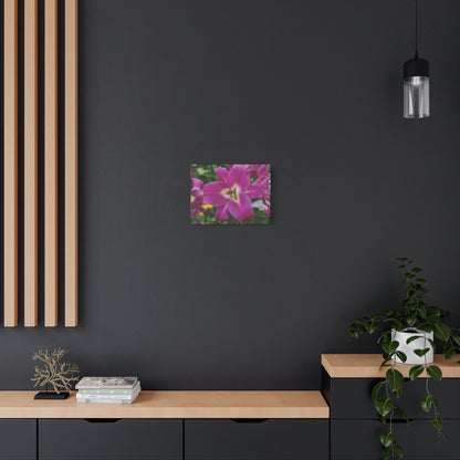 Pink Lily Floral Canvas Wall Art — Matte Stretched 1.25"