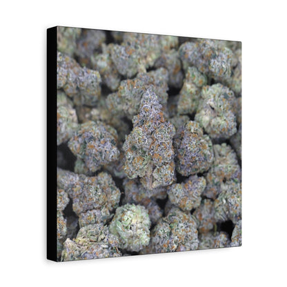 Cannabis Bud Close-Up Matte Canvas Print —"PINK RUNTZ"  Stretched 1.25" Wall Art