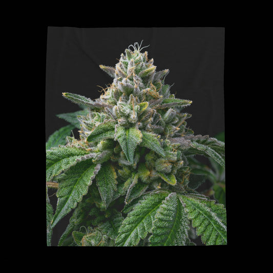 Cannabis Plant Velveteen Plush Blanket – Cozy Botanical Throw for Plant Enthusiasts and stoners