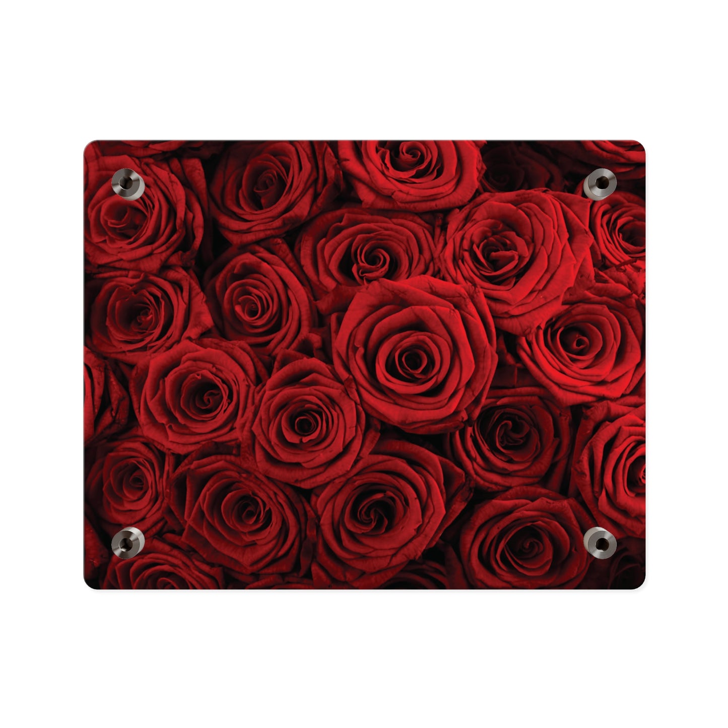 Acrylic Wall Art - Red Rose Close-Up Panel, Romantic Floral Decor for Valentine’s Day & Home Accent