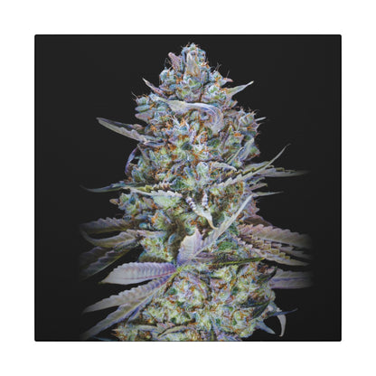 Psychedelic Cannabis Bud Canvas Print — Matte Stretched Wall Art. custom made wall art for stoners