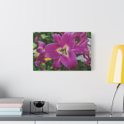Pink Lily Floral Canvas Wall Art — Matte Stretched 1.25"
