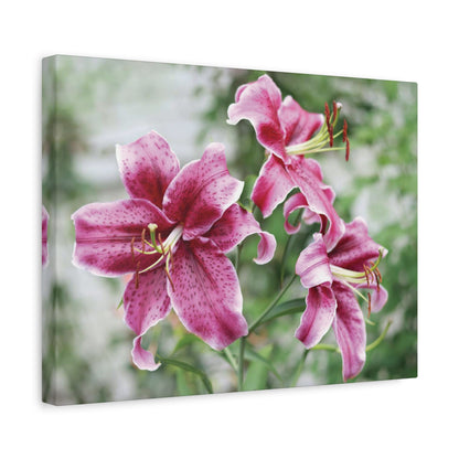 Pink Stargazer Lily Canvas Print — Floral Wall Art, Botanical Home Decor