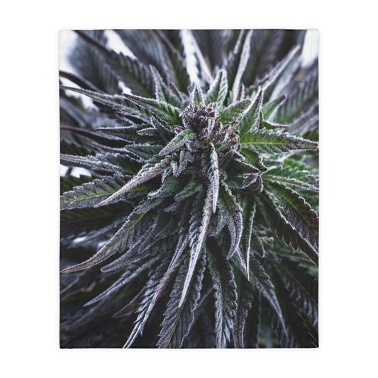 Frosted Cannabis Plant "BLUE DREAM" Microfiber Blanket — Two-Sided Cozy Throw Perfect for winter