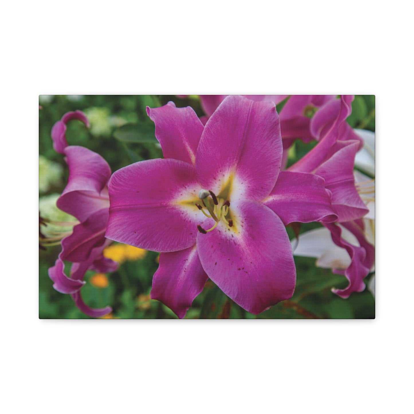 Pink Lily Floral Canvas Wall Art — Matte Stretched 1.25"