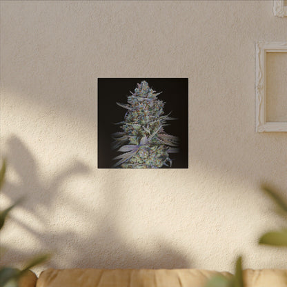 Psychedelic Cannabis Bud Canvas Print — Matte Stretched Wall Art. custom made wall art for stoners